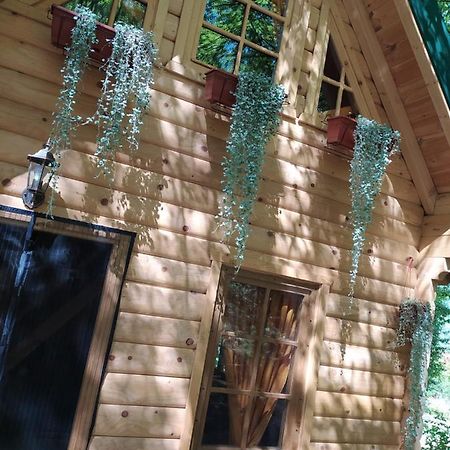 Brvnara Fairy Tale Villa Cetinje Ngoại thất bức ảnh