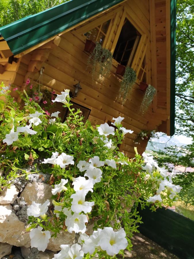 Brvnara Fairy Tale Villa Cetinje Ngoại thất bức ảnh