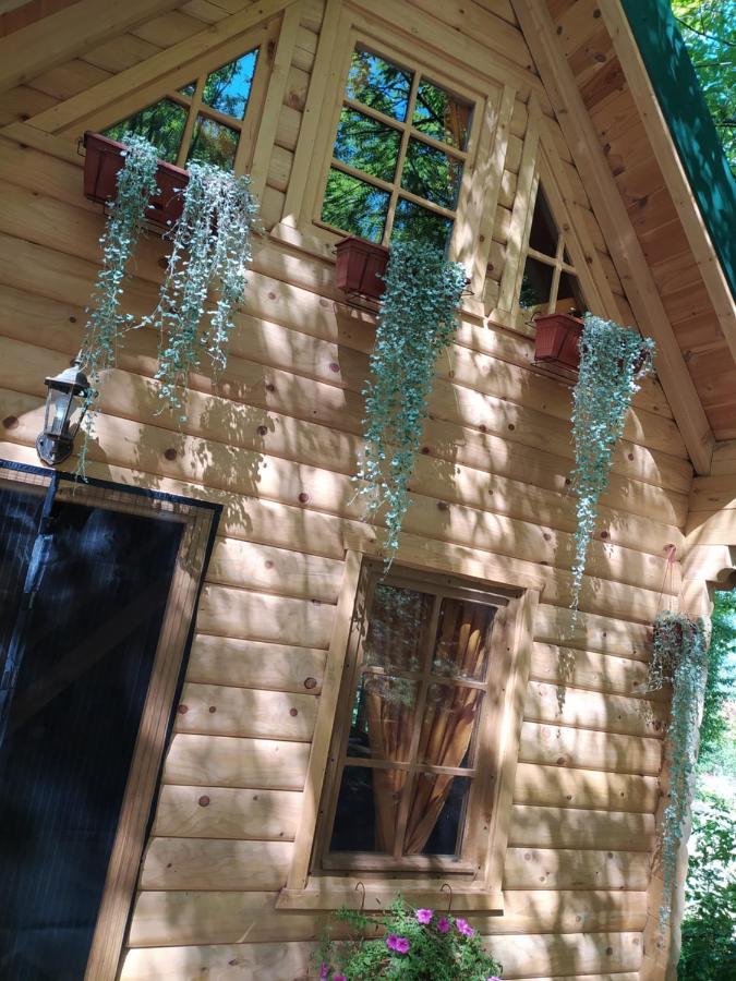 Brvnara Fairy Tale Villa Cetinje Ngoại thất bức ảnh