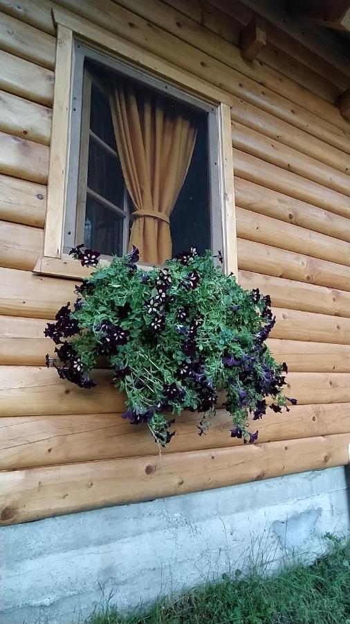 Brvnara Fairy Tale Villa Cetinje Ngoại thất bức ảnh