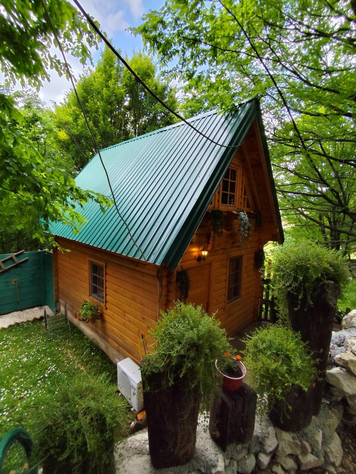 Brvnara Fairy Tale Villa Cetinje Ngoại thất bức ảnh